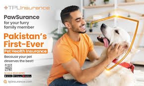 Understanding Pet Insurance: A Comprehensive Guide